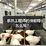 系统工程师的技能特长怎么写？（图1）