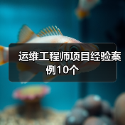 运维工程师项目经验案例10个（图4）