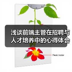 浅谈前端主管在招聘与人才培养中的心得体会（图4）