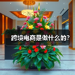 跨境电商是做什么的？（图3）