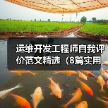 运维开发工程师自我评价范文精选（8篇实用案例）（图2）