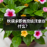 秋招求职者应该注意些什么？（图4）