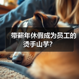 带薪年休假成为员工的烫手山芋?(图2) 带薪年休假成为员工的烫手山芋?(图2)