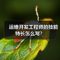 运维开发工程师的技能特长怎么写？（图3）