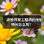 运维开发工程师的技能特长怎么写？（图4）