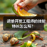 运维开发工程师的技能特长怎么写？（图2）