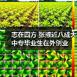 志在四方 张掖近八成大中专毕业生在外创业（图1）
