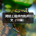 网络工程师自我评价范文（10篇）（图2）