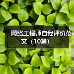 网络工程师自我评价范文（10篇）（图3）
