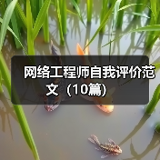 网络工程师自我评价范文（10篇）（图4）