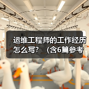 运维工程师的工作经历怎么写？（含6篇参考范文）（图1）