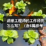 运维工程师的工作经历怎么写？（含6篇参考范文）（图4）