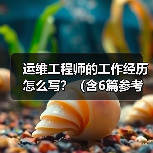 运维工程师的工作经历怎么写？（含6篇参考范文）（图2）