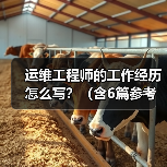 运维工程师的工作经历怎么写？（含6篇参考范文）（图3）