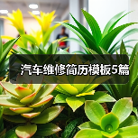 汽车维修简历模板5篇（图2）