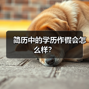 简历中的学历作假会怎么样？（图4）