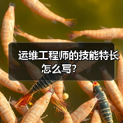 运维工程师的技能特长怎么写？（图4）