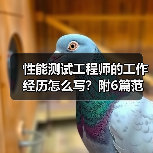 性能测试工程师的工作经历怎么写？附6篇范文案例（图2）