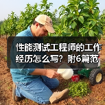 性能测试工程师的工作经历怎么写？附6篇范文案例（图3）