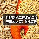性能测试工程师的工作经历怎么写？附6篇范文案例（图1）