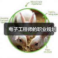 电子工程师的职业规划（图4）