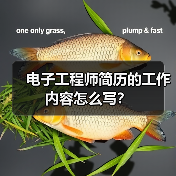 电子工程师简历的工作内容怎么写？（图3）