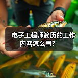 电子工程师简历的工作内容怎么写？（图1）