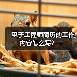 电子工程师简历的工作内容怎么写？（图2）