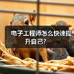 电子工程师怎么快速提升自己？（图3）