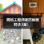 网络工程师简历模板（精选3篇）（图3）