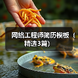网络工程师简历模板（精选3篇）（图1）