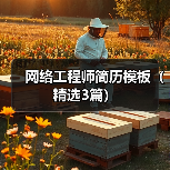 网络工程师简历模板（精选3篇）（图4）