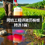网络工程师简历模板（精选3篇）（图2）