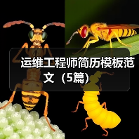 运维工程师简历模板范文（5篇）（图2）