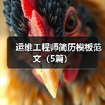 运维工程师简历模板范文（5篇）（图1）