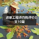 运维工程师自我评价范文10篇（图1）