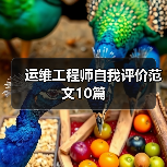 运维工程师自我评价范文10篇（图4）
