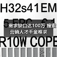 需求缺口达100万 搜索营销人才千金难求（图3）