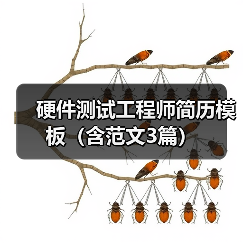 硬件测试工程师简历模板（含范文3篇）（图2）