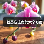 裁员应注意的六个方面（图2）