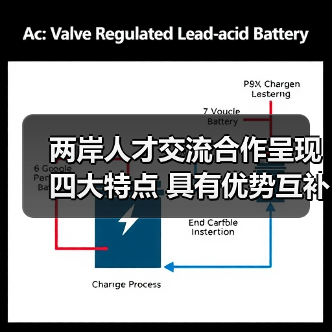 两岸人才交流合作呈现四大特点 具有优势互补性(图3) 两岸人才交流合作呈现四大特点 具有优势互补性(图3)