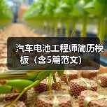 汽车电池工程师简历模板(含5篇范文)(图4) 汽车电池工程师简历模板(含5篇范文)(图4)