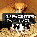 前端开发工程师简历的工作内容怎么写?(图4) 前端开发工程师简历的工作内容怎么写?(图4)