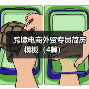 跨境电商外贸专员简历模板（4篇）（图4）