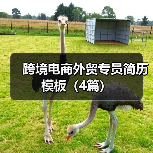 跨境电商外贸专员简历模板（4篇）（图3）