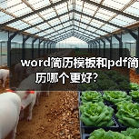 word简历模板和pdf简历哪个更好？（图1）