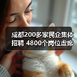 成都200多家民企集体招聘 4800个岗位虚席以待（图1）