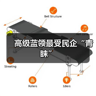 高级蓝领最受民企“青睐”（图3）