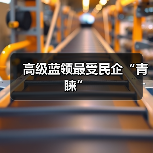 高级蓝领最受民企“青睐”（图1）