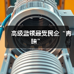 高级蓝领最受民企“青睐”（图2）